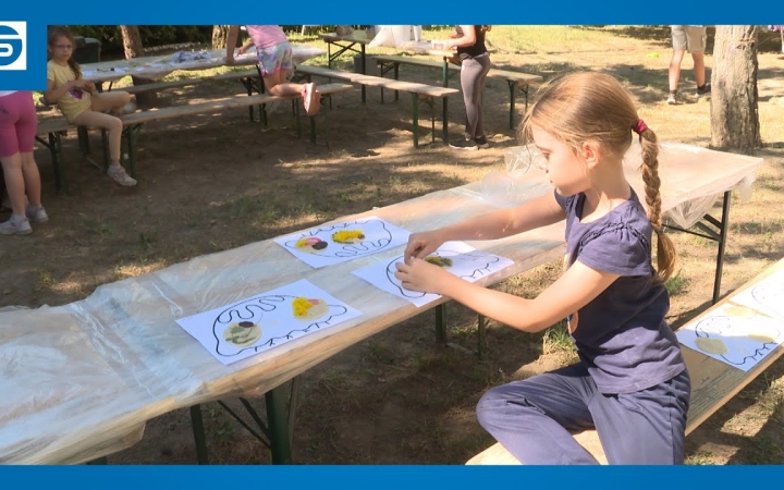 Embedded thumbnail for DSTV: tábori öko-tematika