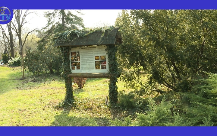 Embedded thumbnail for DSTV: zöldbe borult, szabadba csábít az arborétum