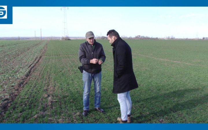 Embedded thumbnail for DSTV: fókuszban a mezőgazdaság