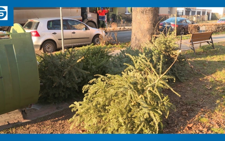 Embedded thumbnail for DSTV: fenyőgyűjtés, első kör