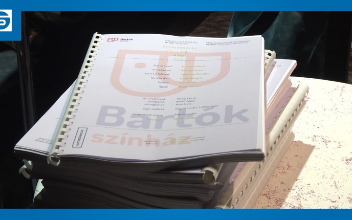 Embedded thumbnail for DSTV: "A fiú" próbája a Bartókban 
