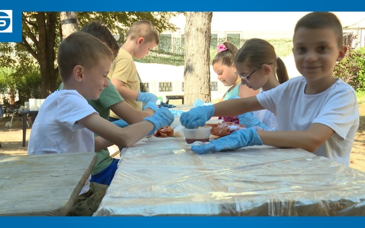 Embedded thumbnail for DSTV: tábori értékelés