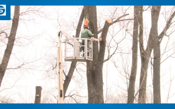 Embedded thumbnail for Folytatódnak a faápolási, településrendészeti munkálatok