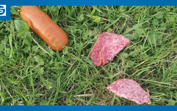 Embedded thumbnail for A fél város keresi a mérget kiszóró gazembert