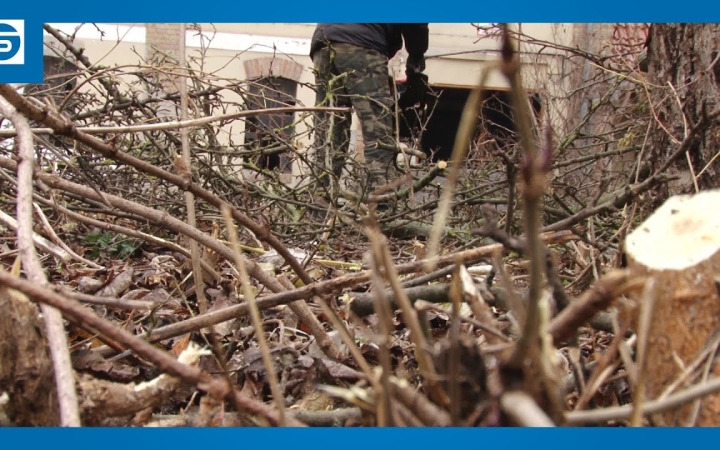 Embedded thumbnail for A Malomban vágtak fát a rászorulóknak 