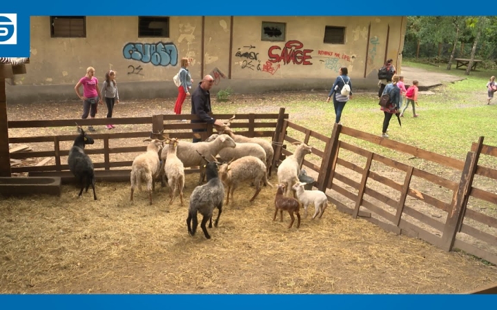 Embedded thumbnail for Kicsik és nagyok barátkozhattak a természettel (galériával)