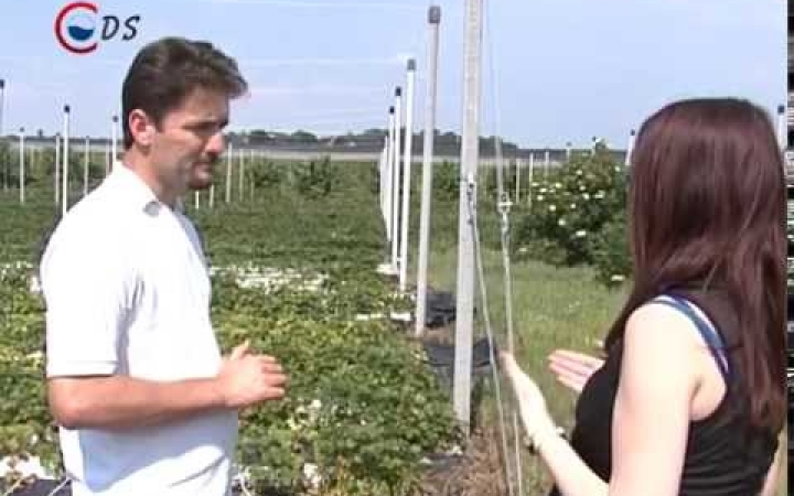 Embedded thumbnail for Krisztina érzékeny, Letícia kemény  - itt ez eperszezon vége