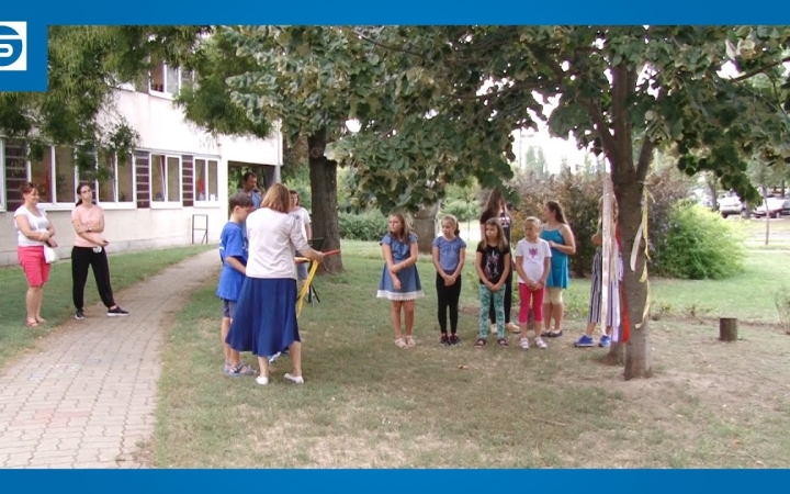 Embedded thumbnail for Szalagozás a cimborafánál