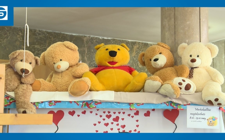 Embedded thumbnail for DSTV: Mackó Nap a Szabó Magda iskolában