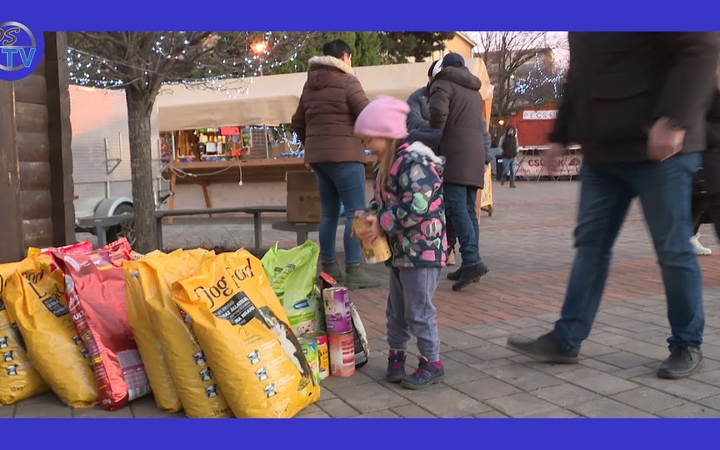 Embedded thumbnail for DSTV: petárdák helyett kutyatáp