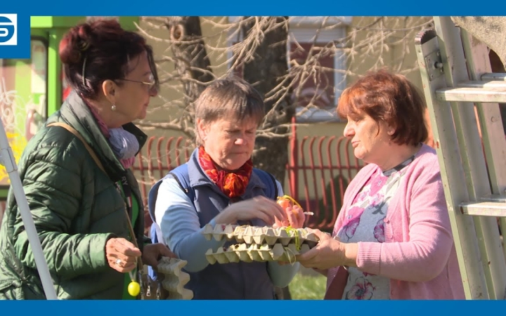 Embedded thumbnail for Tojásfát állítottak a Kertvárosban (galériával)