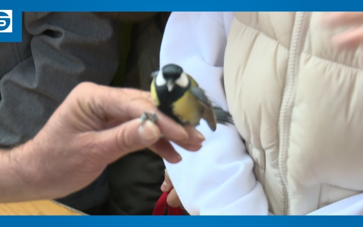 Embedded thumbnail for Jó hangulatú délelőtt az arborétumban