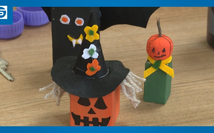 Embedded thumbnail for DSTV: boszitábor az MMK-ban