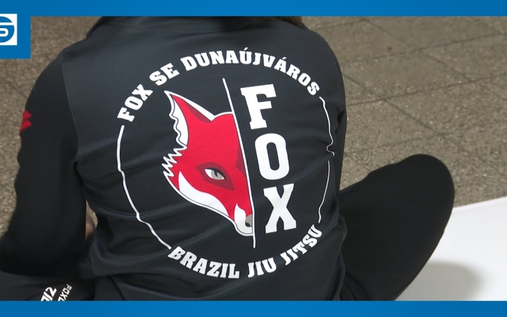 Embedded thumbnail for DSTV: nyári tábort szervez a Fox SE