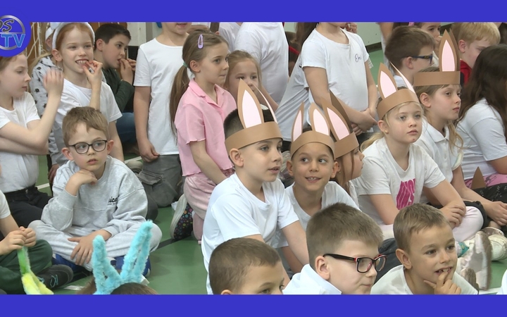 Embedded thumbnail for DSTV: nyuszifutás a Vasváriban