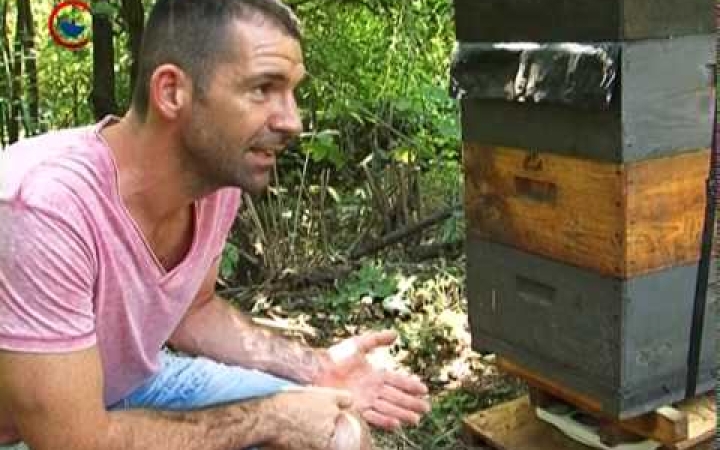 Embedded thumbnail for Jobb a méz idén és az árak sem emelkednek