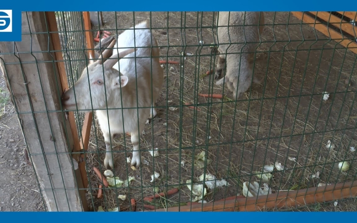 Embedded thumbnail for DSTV: fejlődik az arborétum 