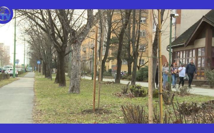 Embedded thumbnail for Minden nap tenni kell a zöldebb városért