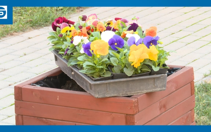 Embedded thumbnail for DSTV: virágültetéssel és muzsikával ünnepeltek