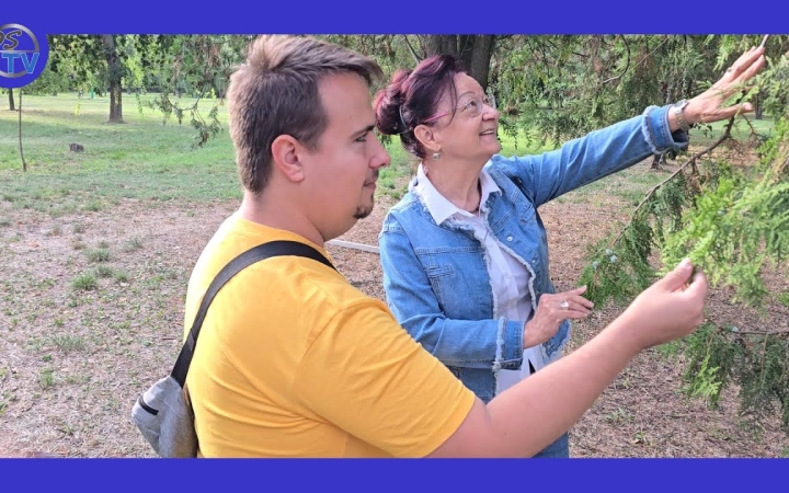 Embedded thumbnail for DSTV: folytatódik a fotópályázat