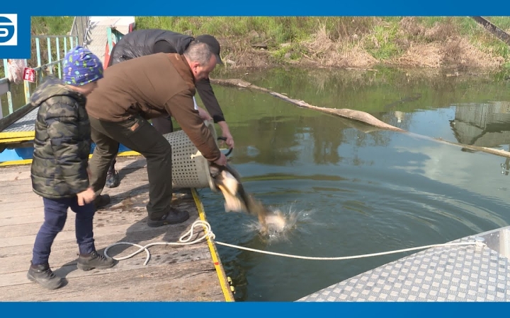 Embedded thumbnail for DSTV: pontyot telepítettek a horgászok