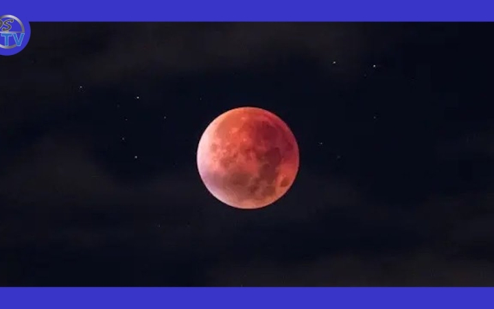 Embedded thumbnail for DSTV: vérholdnézők a Duna-parton