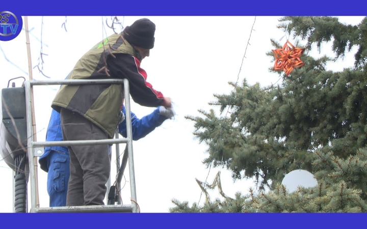 Embedded thumbnail for A fenyőfákból karácsonyfák lettek