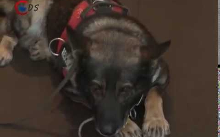 Embedded thumbnail for A nap legfontosabb eseményei - DSTV Híradó