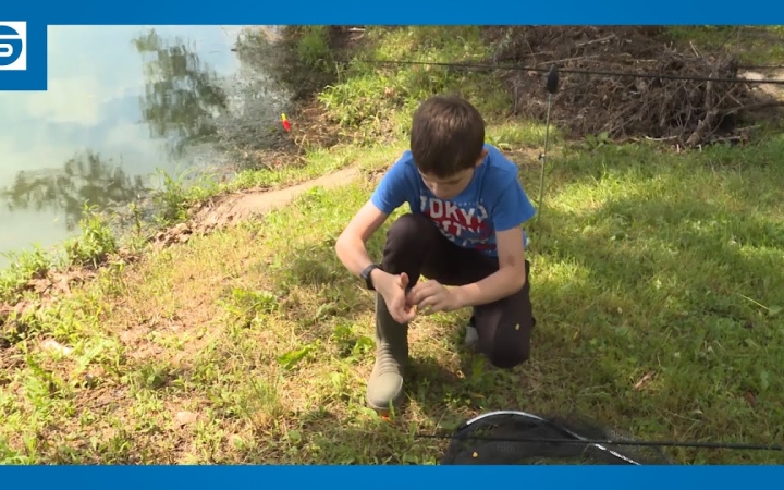 Embedded thumbnail for DSTV: vízvallató gyerekek (galériával)