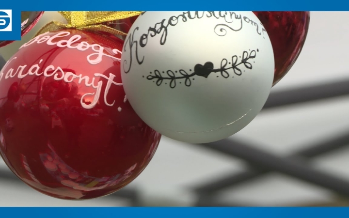 Embedded thumbnail for DSTV: ünnepváró kincskeresés a Szalki-szigeten (galériával)