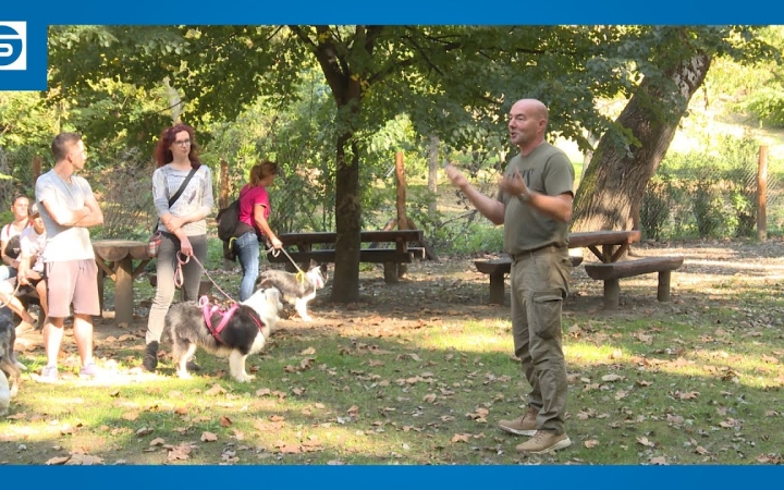 Embedded thumbnail for Nyílt napot tartottak a mentőkutyások