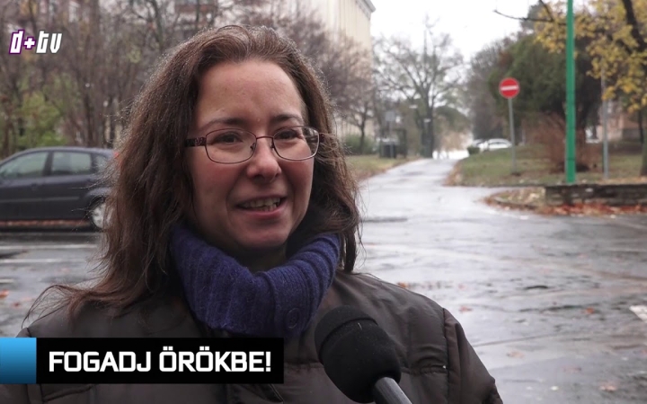 Embedded thumbnail for D+ Híradó - Faültetés, Suli Foci