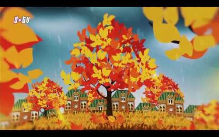 Embedded thumbnail for D+ Híradó - Kilátó, adományozás