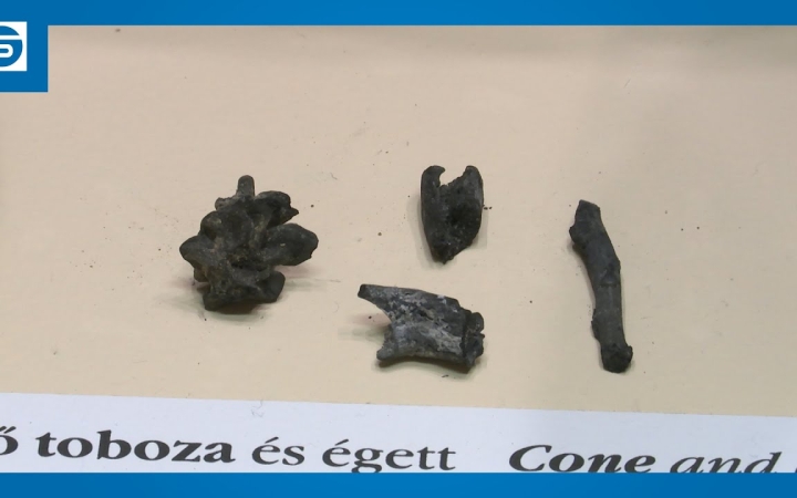 Embedded thumbnail for DSTV: változatos műtárgylista a múzeumban