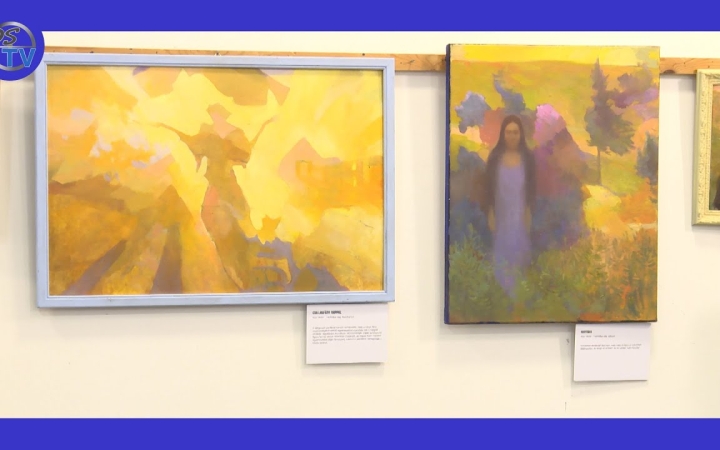 Embedded thumbnail for DSTV: kiállítás a könyvtárban