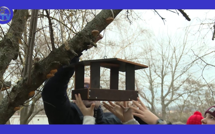 Embedded thumbnail for DSTV: a madarak barátsága