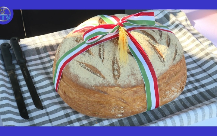 Embedded thumbnail for DSTV: együtt ünnepelhet a város augusztus 20-án