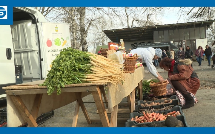 Embedded thumbnail for DSTV: siker volt az évnyitó Dunai Kincses Kert (galériával)