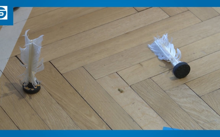 Embedded thumbnail for DSTV: az országos döntőért küzdöttek