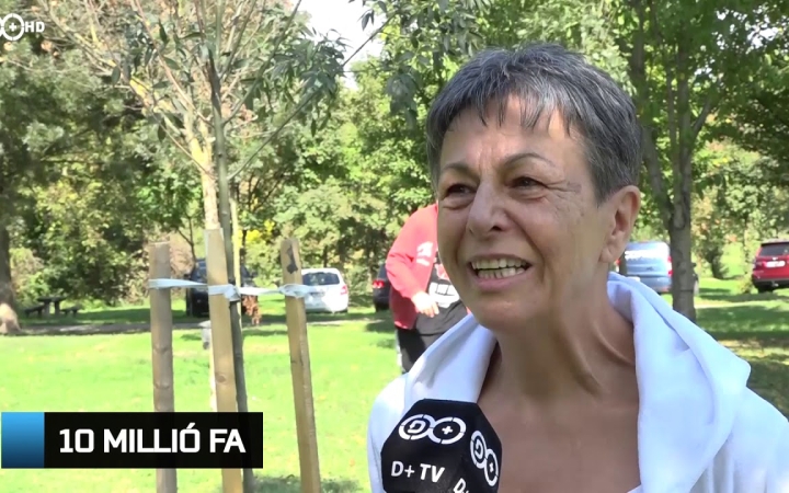 Embedded thumbnail for D+ Híradó - Idősek Világnapja, faültetés