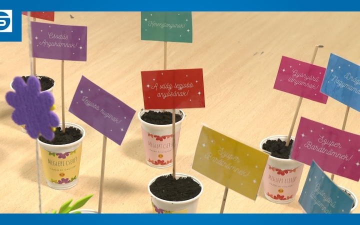 Embedded thumbnail for DSTV: virágos ünnepet, boldog nőnapot!