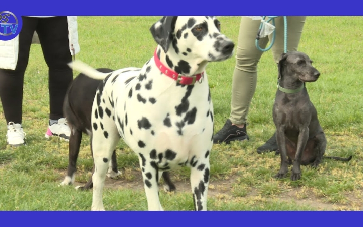 Embedded thumbnail for "Ha elmondjuk az elvárásainkat, sérelmeinket, előbbre léphetünk"