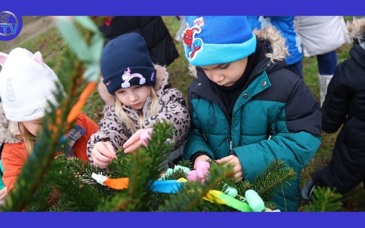 Embedded thumbnail for Karácsonyfákkal készülnek a körzetben