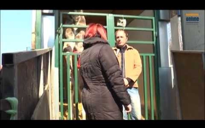 Embedded thumbnail for Dunaújvárosba érkezett az Amerika Park - DO-videó