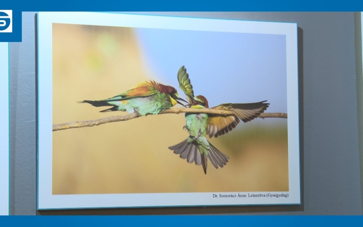 Embedded thumbnail for DSTV: "A mi világunk 2022"