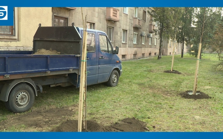 Embedded thumbnail for DSTV: faültetés a Gagarin téren