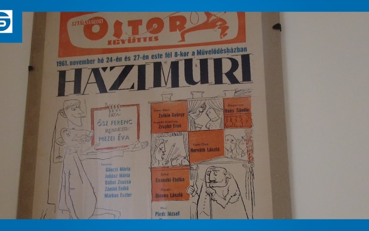 Embedded thumbnail for DSTV: "Házimuri" a múzeumban