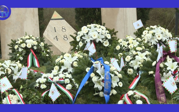 Embedded thumbnail for DSTV: ünnep a forradalmi emlékműnél