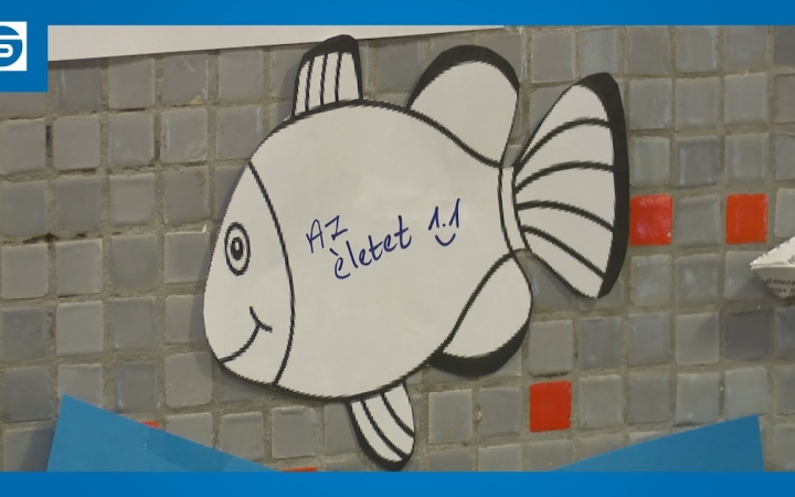 Embedded thumbnail for DSTV: nyáron is mindenkit vár a könyvtár