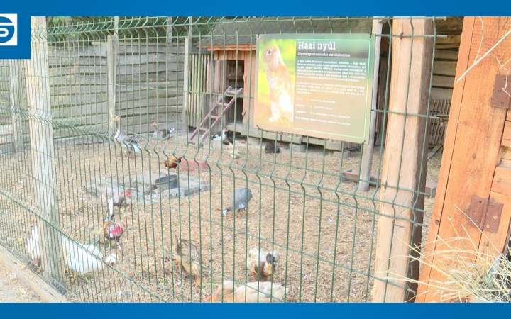 Embedded thumbnail for Egy nap az állatokért